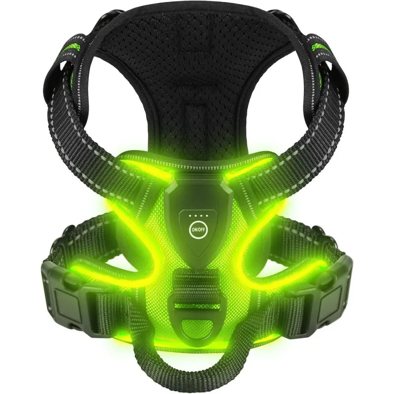 LED Glowing Luminous