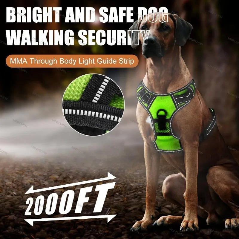 LED Glowing Luminous
