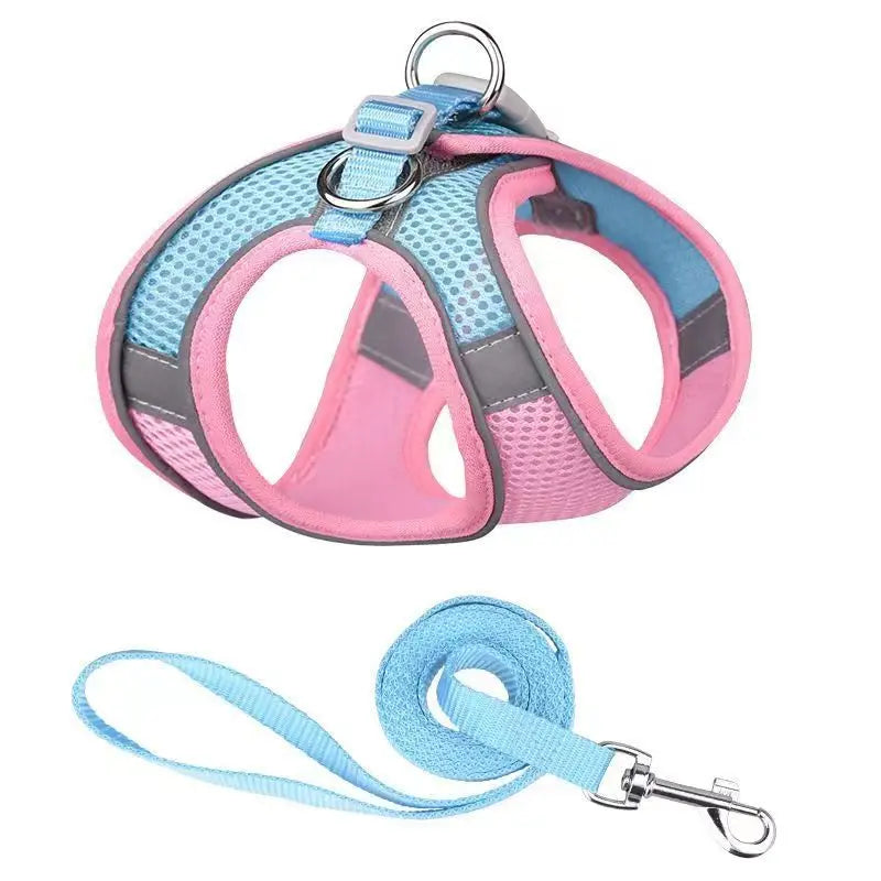 Dog Harness Leash Set