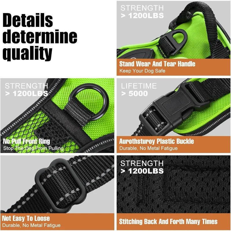 LED Glowing Luminous