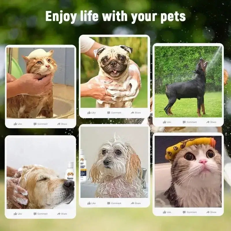 2-in-1-natural-moisturising-pet-shampoo