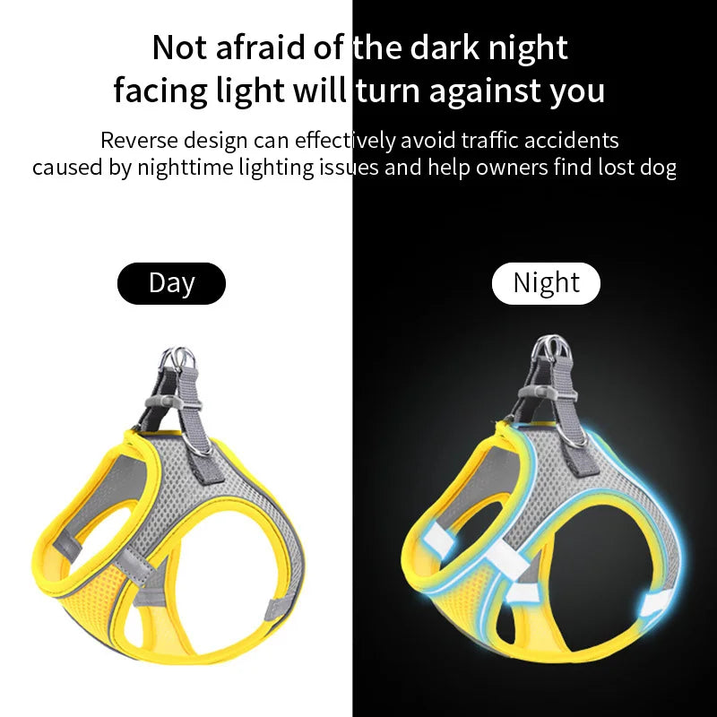 Dog Harness Leash Set