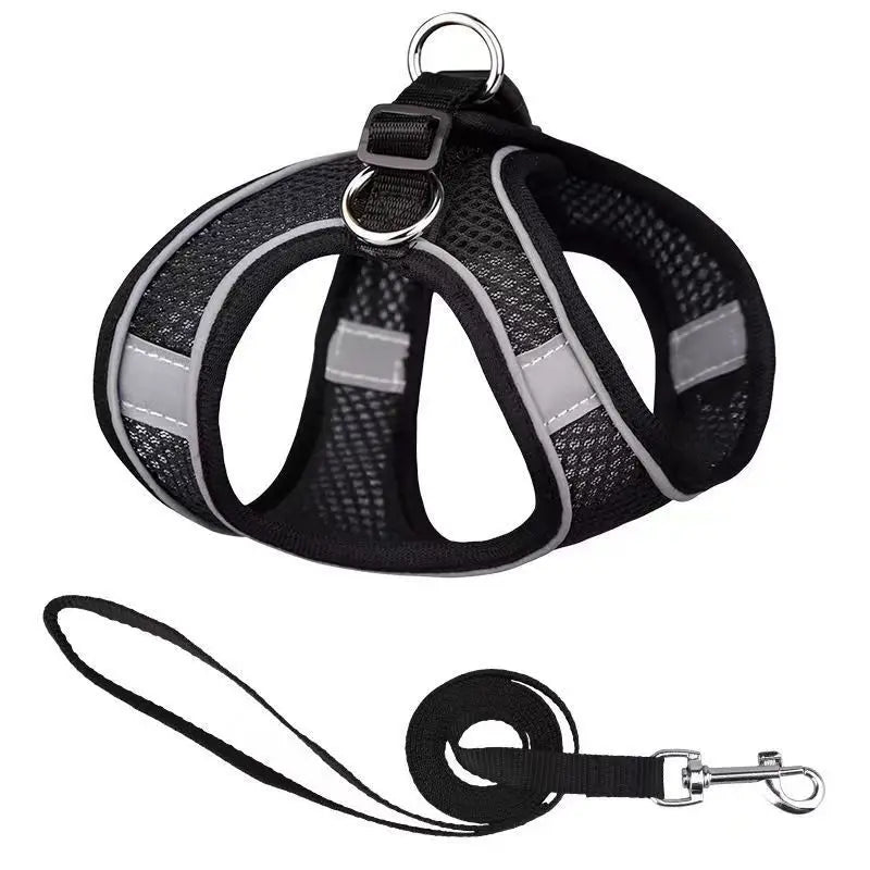 Dog Harness Leash Set