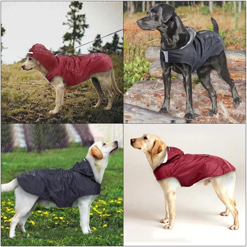 Dog Waterproof Raincoat for Small/Large Dogs