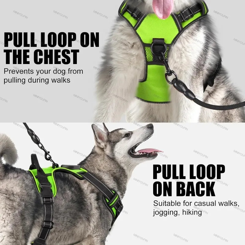 LED Glowing Luminous