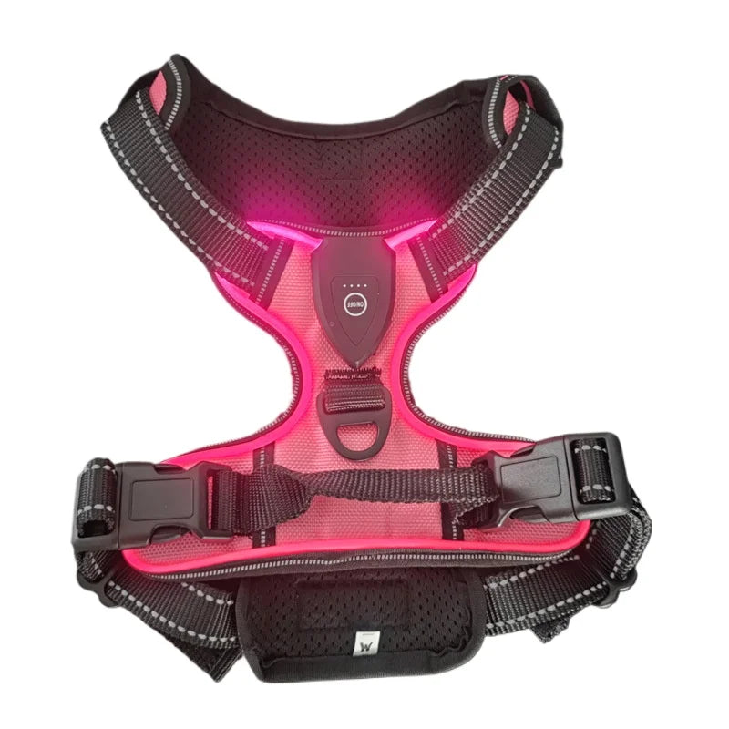 LED Glowing Luminous