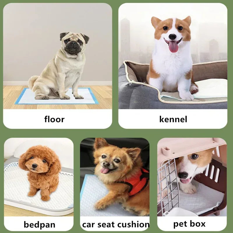 Thickened Absorbent Dog Puppy Training Pads