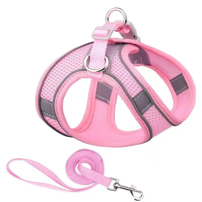 Dog Harness Leash Set