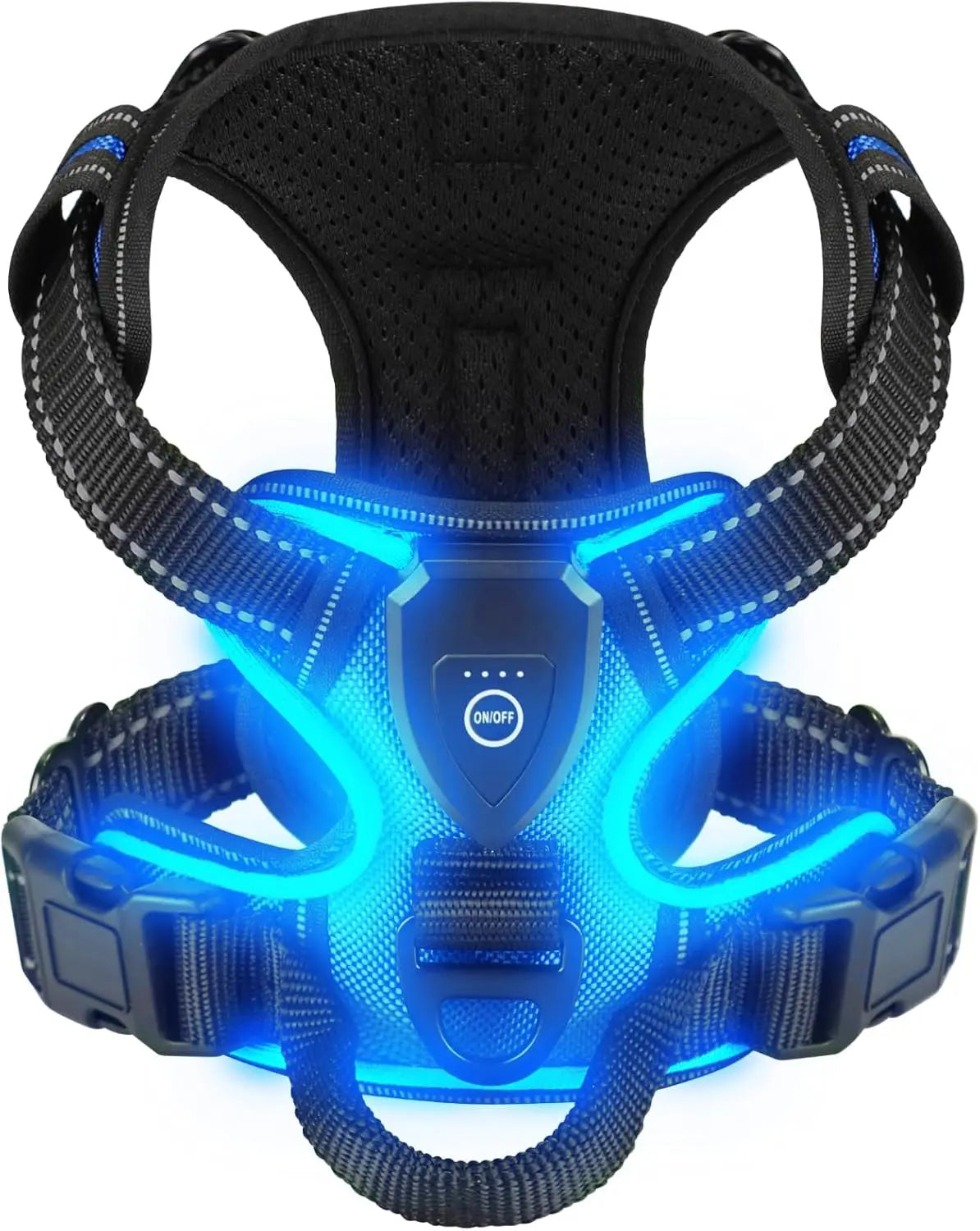 LED Glowing Luminous