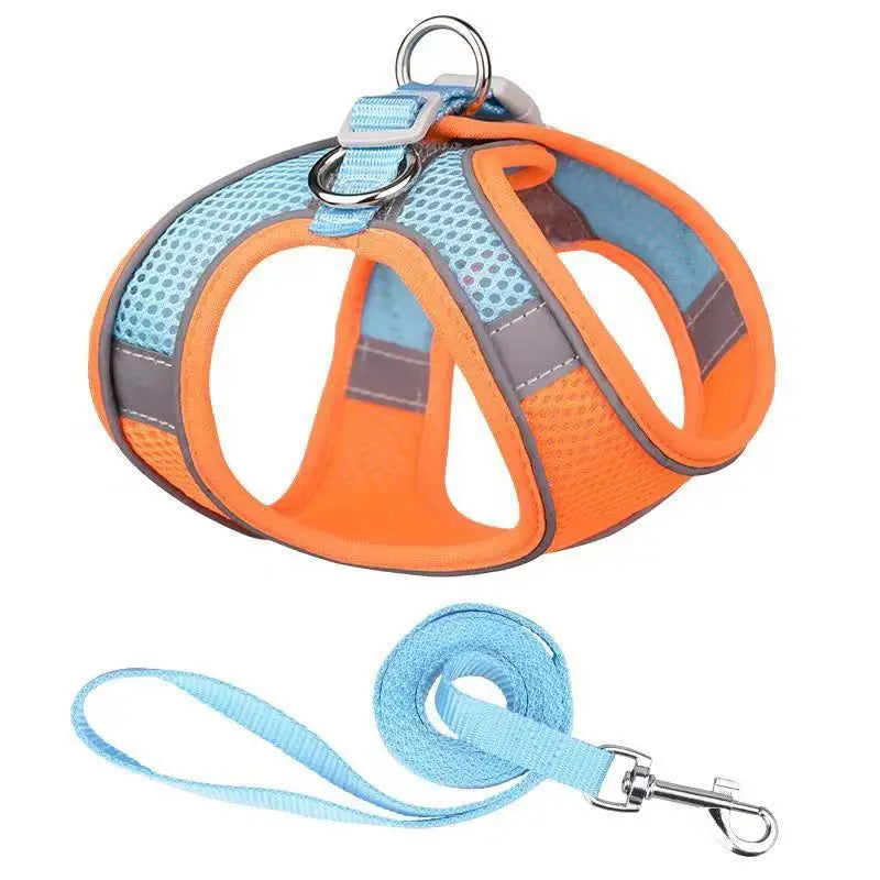 Dog Harness Leash Set