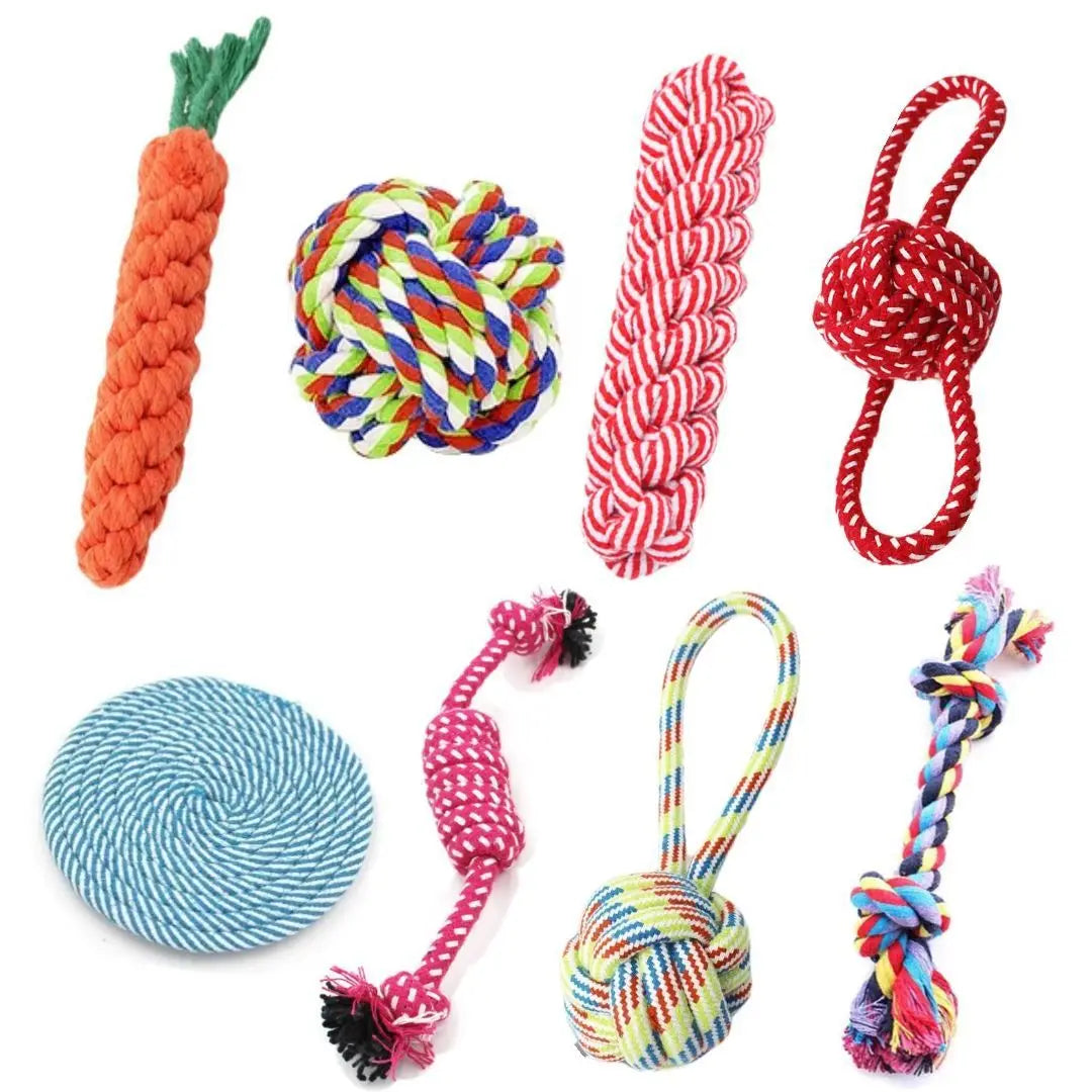 Dog Chew Toy