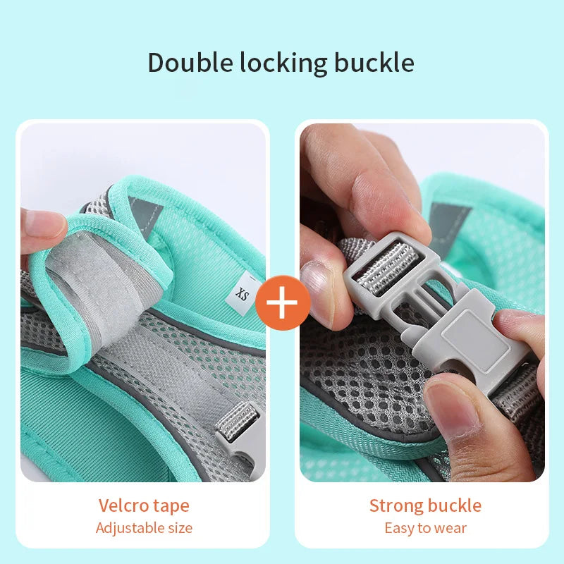 Dog Harness Leash Set