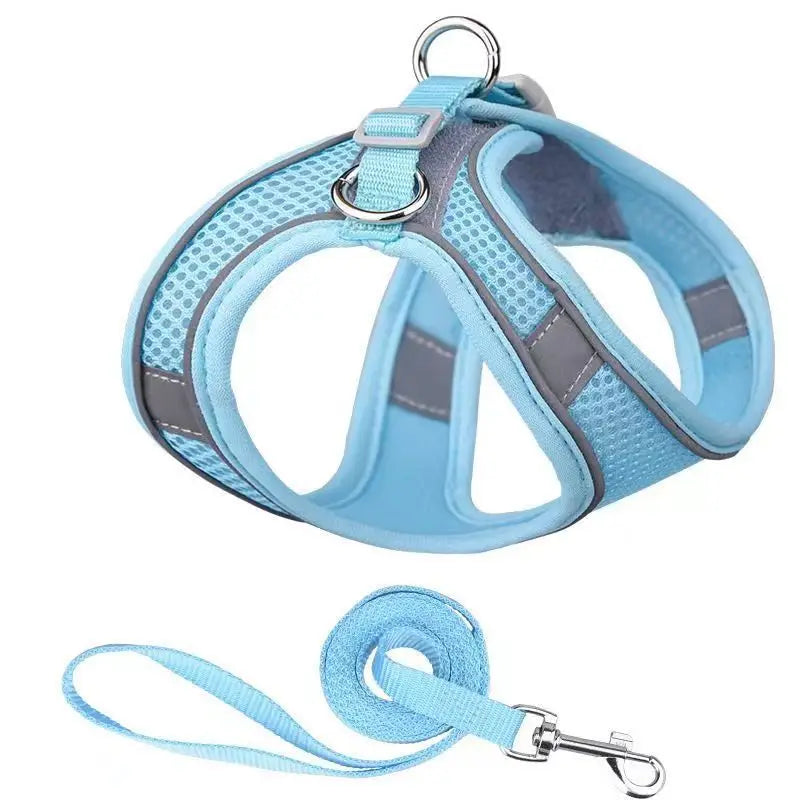 Dog Harness Leash Set
