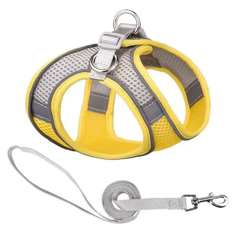 Dog Harness Leash Set