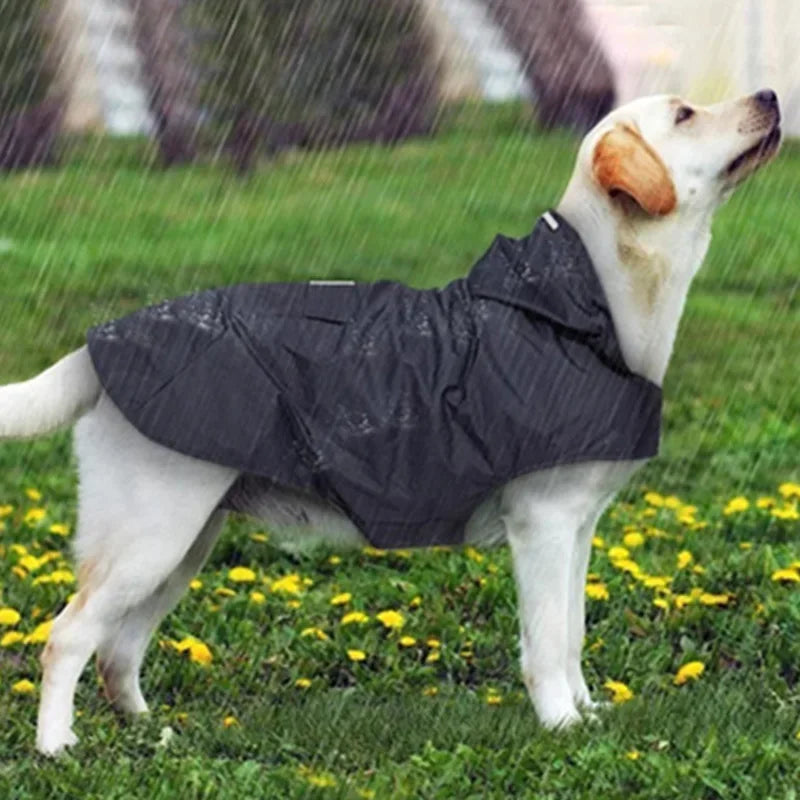 Dog Waterproof Raincoat for Small/Large Dogs