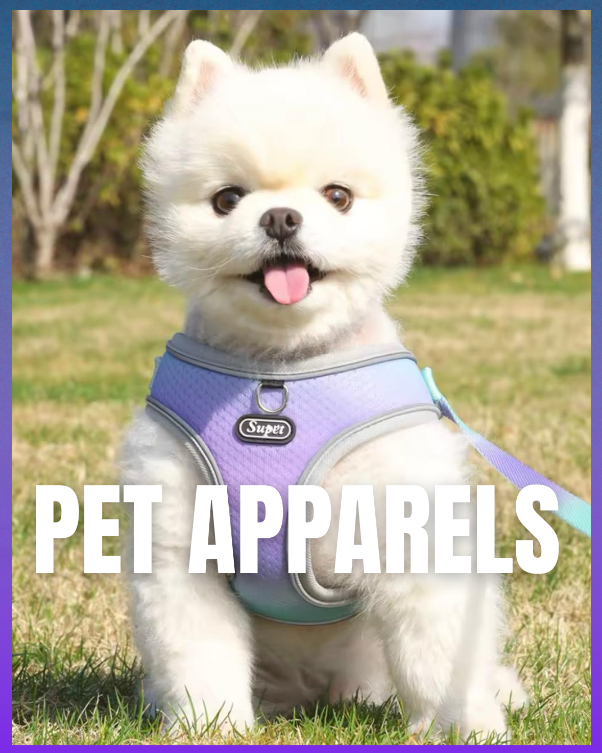 Pet Apparels