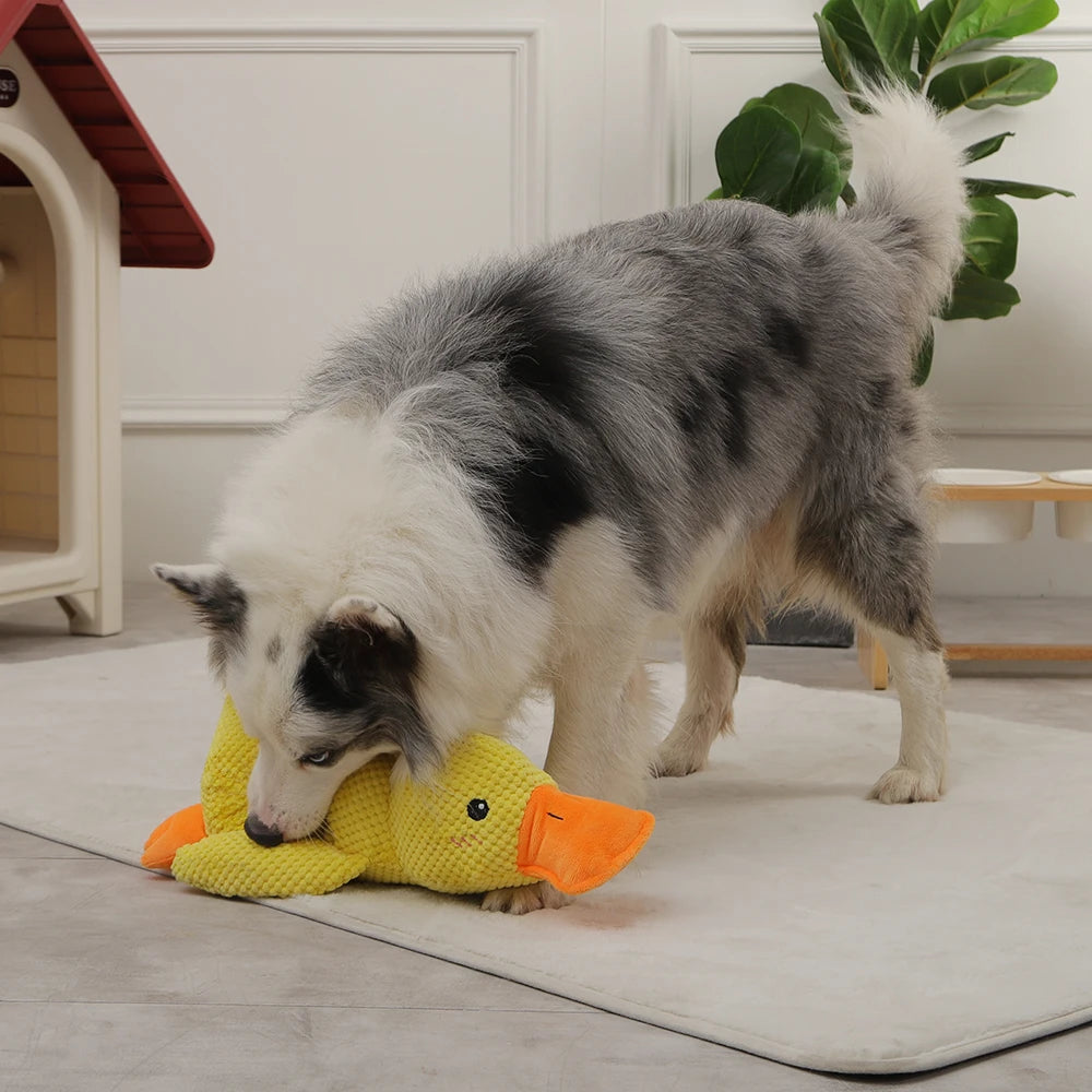 Dog Toy Duck Chew Sound Toy