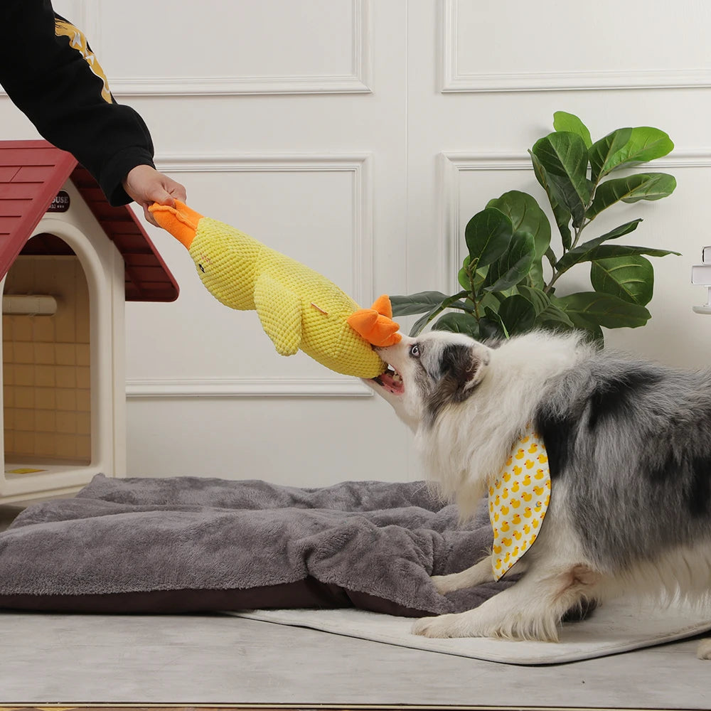 Dog Toy Duck Chew Sound Toy