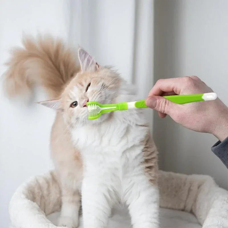 3-Sided Pet Toothbrush