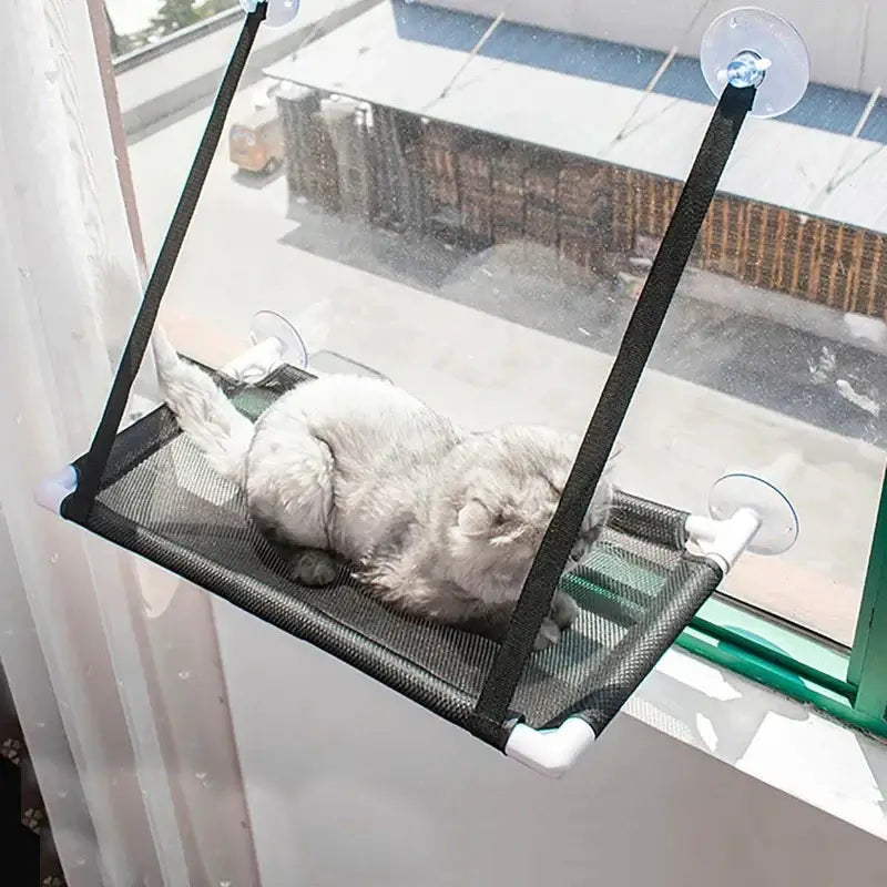 Cat Hammock Window Bed Home