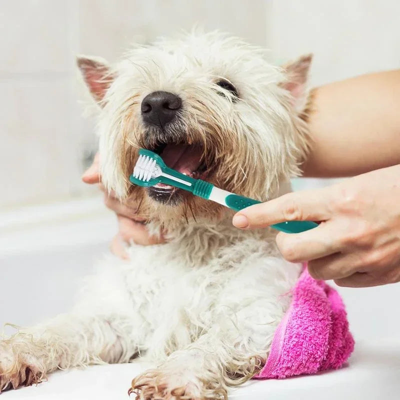 3-Sided Pet Toothbrush