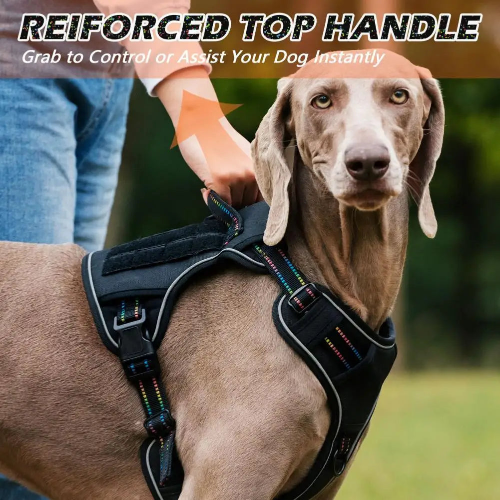 Dog Walking Strap