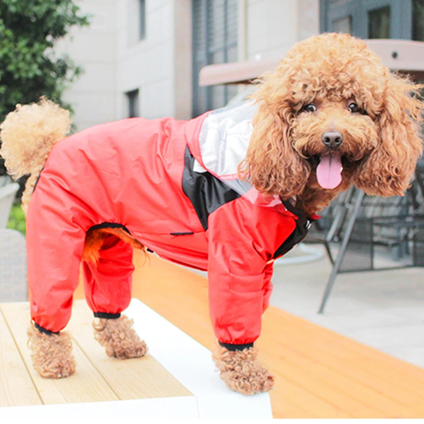 The Dog Face Pet Dog Raincoat