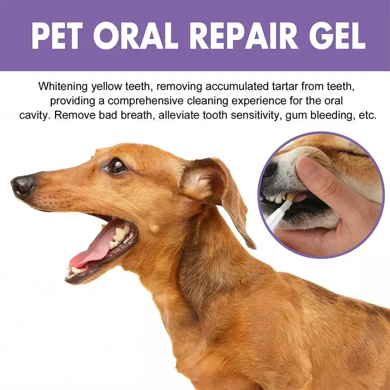 Pet Teeth Cleaning Whitening Pen